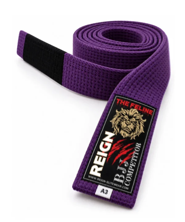 Ceinture JJB violette